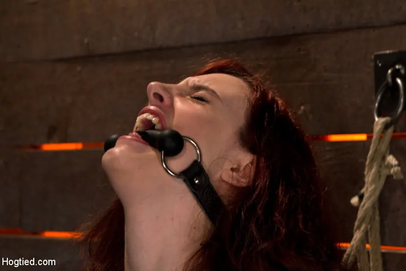 Iona Grace in '19 yr old with massive F natural breasts walks the crotch line from hell Made to cum and cum HARD' from 'Kink' (Photo 13) Kink '19 yr old with massive F natural breasts walks the crotch line from hell Made to cum and cum HARD' starring Iona Grace (Photo 13)