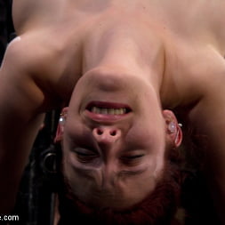 Iona Grace に 'Kink' バック・ベンド・ブーブ・パンチ (サムネイル 14)