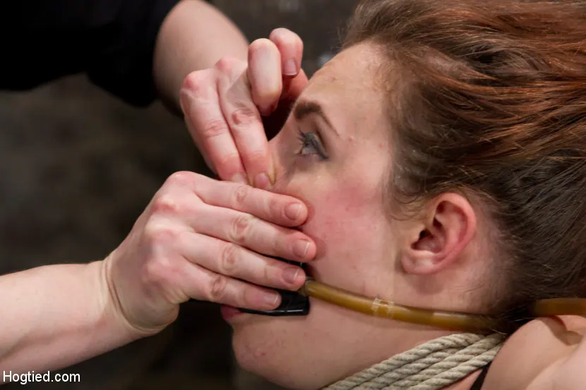 Iona Grace en 'La zorra tetona Iona Grace suspendida y atormentada en HogTied.com' from 'Kink' (foto 6) Kink 'La zorra tetona Iona Grace suspendida y atormentada en HogTied.com' protagonizando Iona Grace (foto 6)