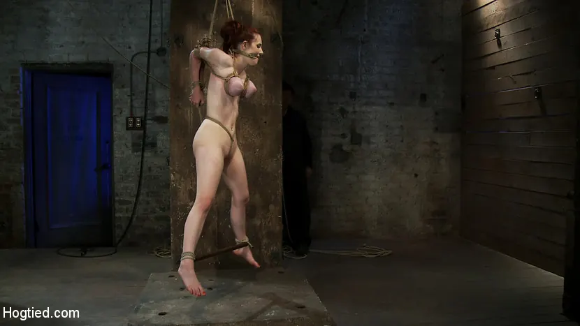 Kink 'Joven de 19 años con enormes tetas sufre una suspensión de categoría 5 Colgada de las tetas, los codos y el coño.' protagonizando Iona Grace (foto 5)