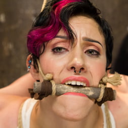 Iona Grace に 'Kink' 達成された要求：不可能なボンデージのポジション (サムネイル 1)