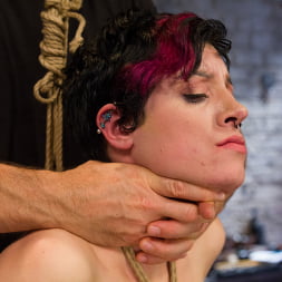 Iona Grace に 'Kink' 達成された要求：不可能なボンデージのポジション (サムネイル 4)