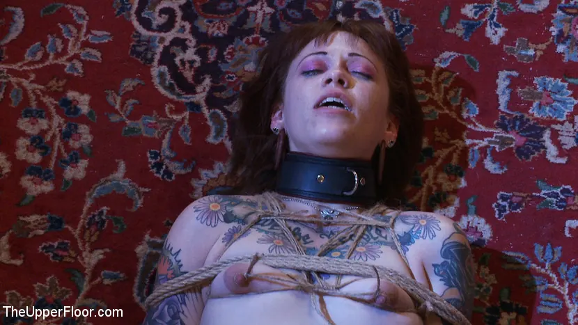 Kink 'サービスデー：ブックエンド' 主演 Iona Grace (写真 17)