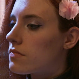 Iona Grace に 'Kink' サービスデー：ブックエンド (サムネイル 2)