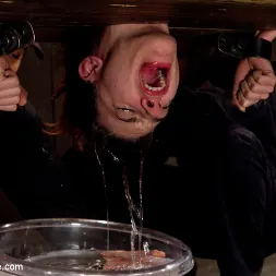 Iona Grace in 'Kink' The Ice Cold Orgasms (Thumbnail 16)