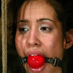 Isis Love in 'Kink' ALPHA in the ass, OMEGA in the pussy. Ariel X is taking the fucking of a lifetime! (Thumbnail 9)
