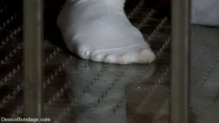 Kink 'Alicia Stone, Sienna e Isis Love Parte 1 de 4 del programa en vivo de febrero.' protagonizando Isis Love (foto 16)