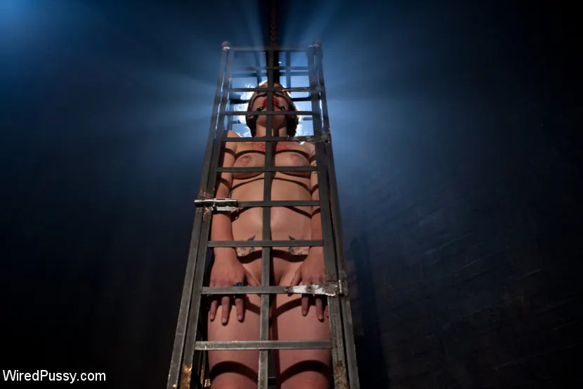 Kink 'ファックドール' 主演 Isis Love (写真 6)