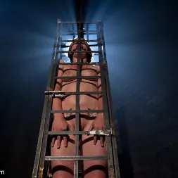 Isis Love に 'Kink' ファックドール (サムネイル 6)