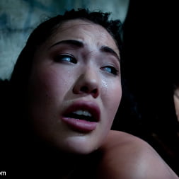 Isis Love に 'Kink' 囚人の雌犬 (サムネイル 14)