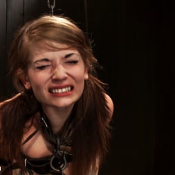 Isis Love in 'Kink' The Dancer - distraught and teased (Thumbnail 16)