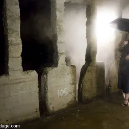 アイソベルレン に アイソベルレン (写真 2) アイソベルレン に 'Kink' アイソベルレン (サムネイル 2)