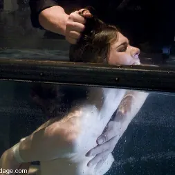 アイソベルレン に アイソベルレン (写真 3) アイソベルレン に 'Kink' アイソベルレン (サムネイル 3)