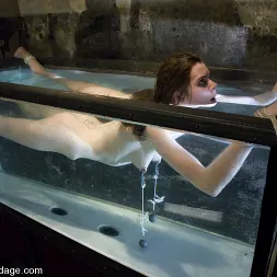 アイソベルレン に アイソベルレン (写真 4) アイソベルレン に 'Kink' アイソベルレン (サムネイル 4)