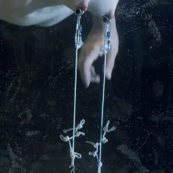 アイソベルレン に アイソベルレン (写真 5) アイソベルレン に 'Kink' アイソベルレン (サムネイル 5)