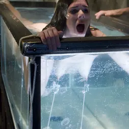 アイソベルレン に アイソベルレン (写真 7) アイソベルレン に 'Kink' アイソベルレン (サムネイル 7)