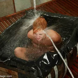 蔦 に 'Kink' 蔦 (サムネイル 6)