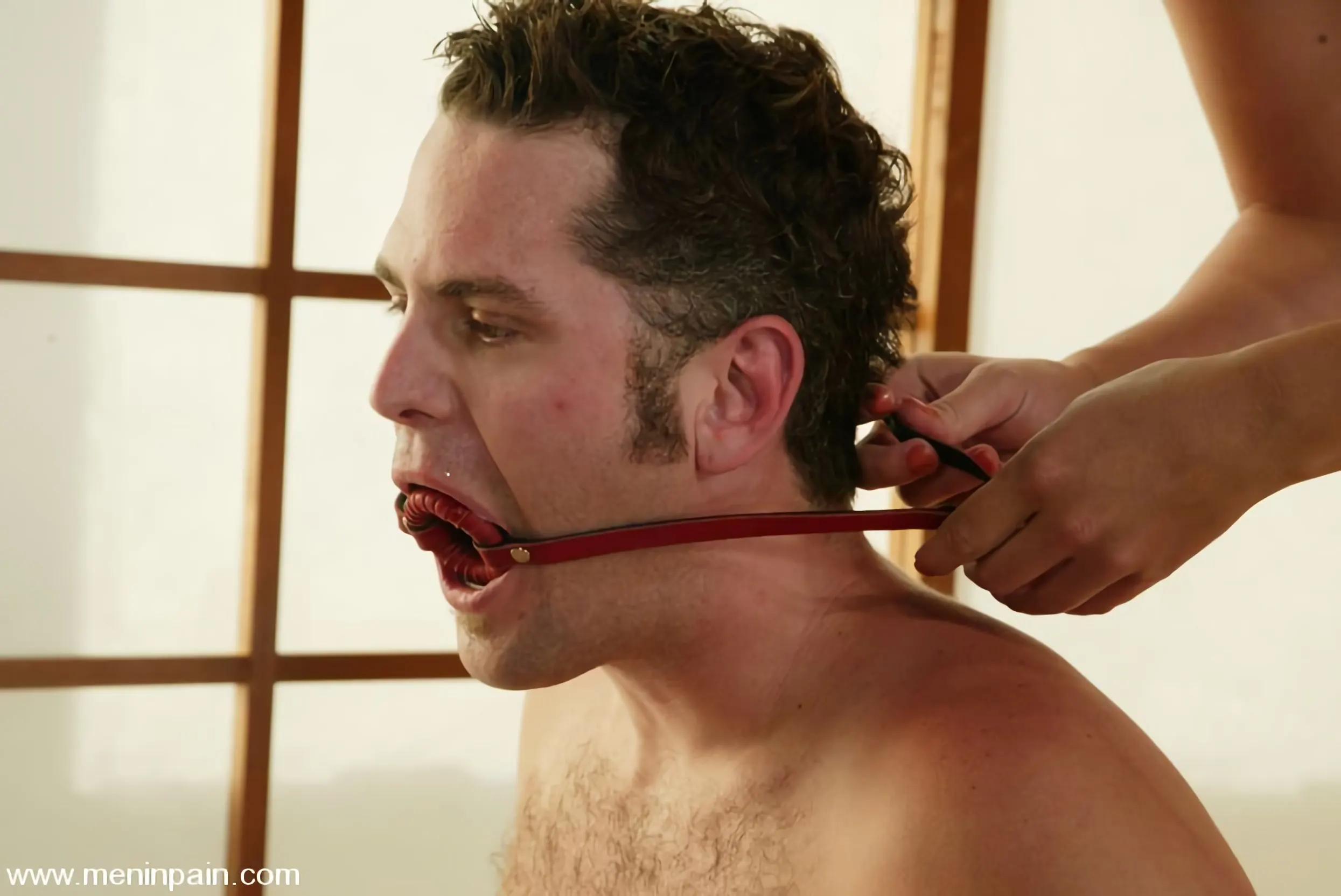 Ivy に 'and Jarod' from 'Kink' (写真 11) Kink 'and Jarod' 主演 Ivy (写真 11)