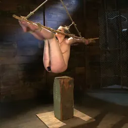 Ivy Mokhov in 'Kink' Welcome the new Category 5 girl Ivy Mokhov (Thumbnail 2)