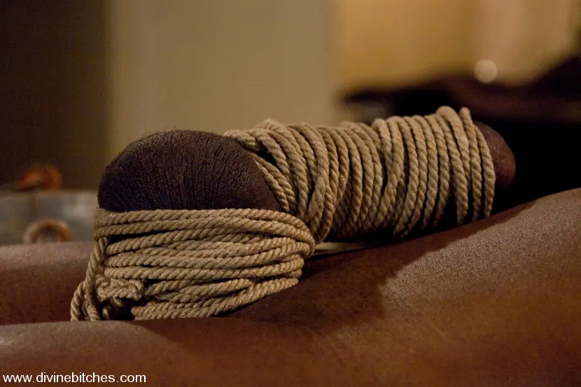 Kink '¡Feliz Navidad, Slaveboys! Bono: ¡Espectáculo de lanzamiento de Divine Bitches en vivo!' protagonizando Maitresse Madeline (foto 13)