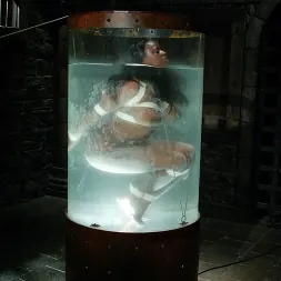 Jada Fire in Jada Fire (Photo 14) Jada Fire in 'Kink' Jada Fire (Thumbnail 14)