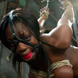 Jada Fire in Jada Fire (Photo 10) Jada Fire in 'Kink' Jada Fire (Thumbnail 10)