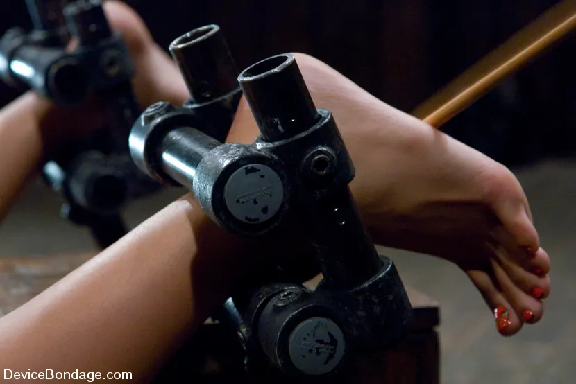 Kink 'ジェイドインディカ' 主演 ジェイドインディカ (写真 13)