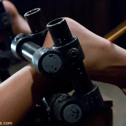 ジェイドインディカ に 'Kink' ジェイドインディカ (サムネイル 13)