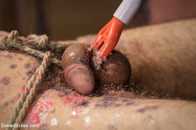 Kink 'La señora Berlín humilla, folla y castiga a su esclava sin límites' protagonizando Mz Berlin (foto 5)