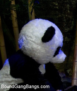 Kink 'PANDAMONIUM!!! PANDA LULLABY!!! PANDA PORNO!!!!!' starring Ashli Orion (Photo 10)