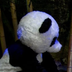 Ashli Orion in 'Kink' PANDAMONIUM!!! PANDA LULLABY!!! PANDA PORNO!!!!! (Thumbnail 10)