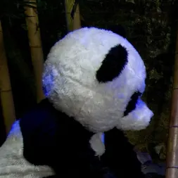 Ashli Orion に パンダミニアム!!!パンダ・ルラビ!パンダポルノ!!!!! (写真 10) Ashli Orion に 'Kink' パンダミニアム!!!パンダ・ルラビ!パンダポルノ!!!!! (サムネイル 10)