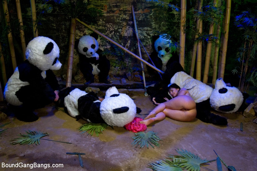 Kink 'PANDAMONIUM!!! PANDA LULLABY!!! PANDA PORNO!!!!!' starring Ashli Orion (Photo 11)