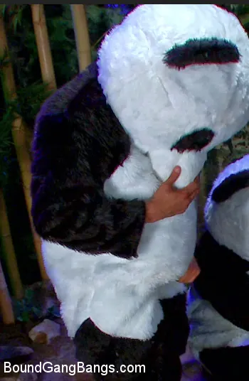 Kink 'パンダミニアム!!!パンダ・ルラビ！パンダポルノ!!!!!' 主演 Ashli Orion (写真 13)