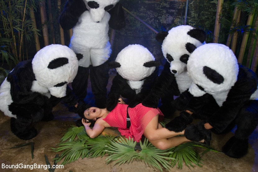 Kink 'PANDAMONIUM!!! PANDA LULLABY!!! PANDA PORNO!!!!!' starring Ashli Orion (Photo 14)