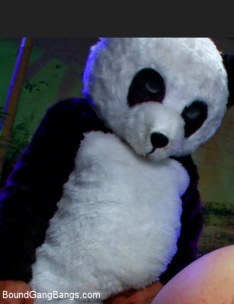 Kink 'PANDAMONIUM!!! PANDA LULLABY!!! PANDA PORNO!!!!!' starring Ashli Orion (Photo 15)