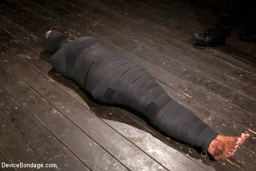 Kink 'しっかりと包まれたパッケージ' 主演 Trina Michaels (写真 13)