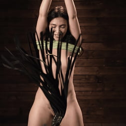 Jane Wilde に 'Kink' ジェーンワイルド:ロープを学ぶ (サムネイル 4)