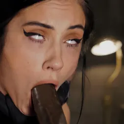 Jazmin Luv に 'Kink' 新鮮な肉:ジャズミン・ルブ (サムネイル 14)