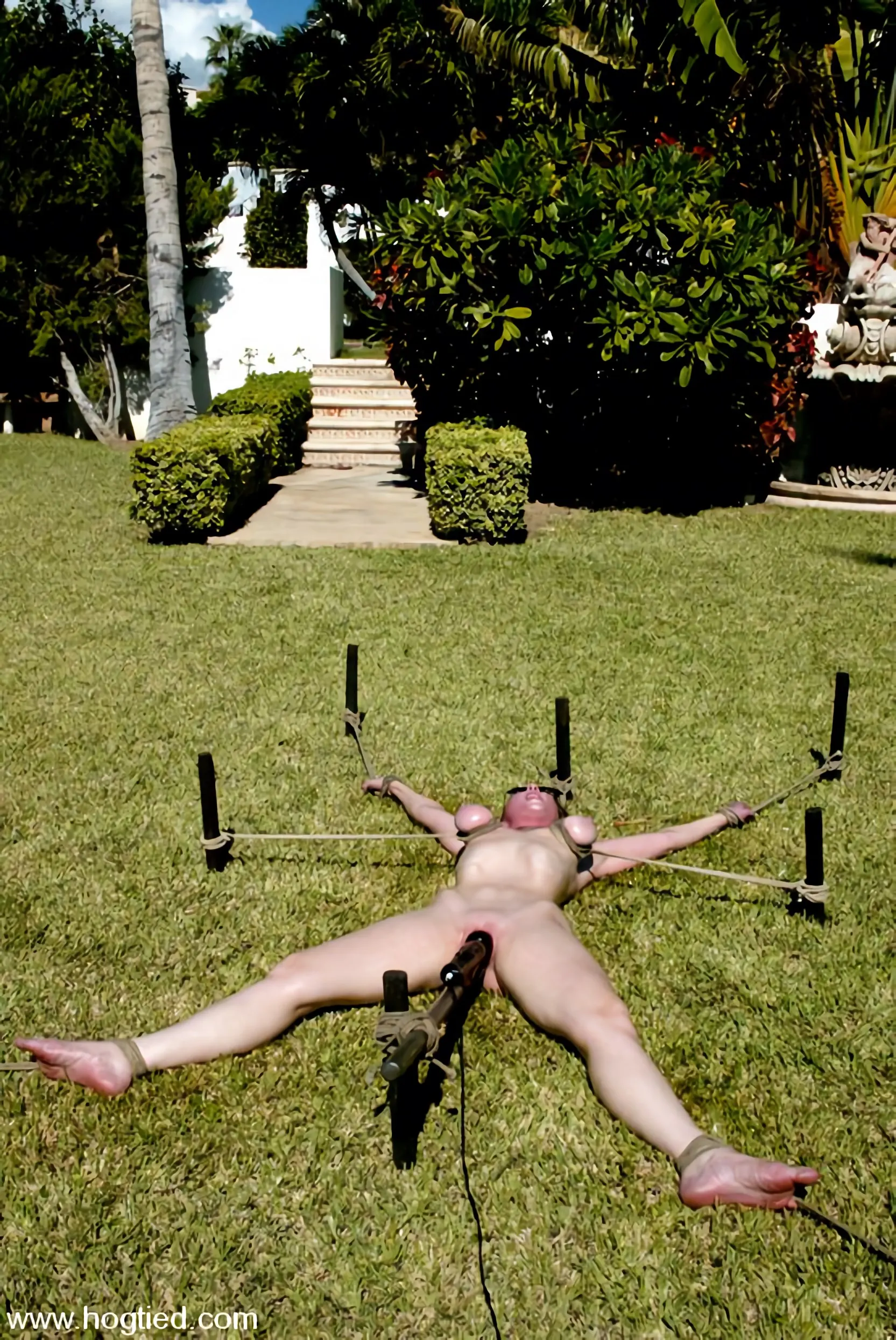 Kink 'CABO, the Return. Part 9' starring Jenni Lee (Photo 5)