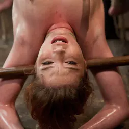 Jessi Palmer in Jessie Palmer (Photo 6) Jessi Palmer in 'Kink' Jessie Palmer (Thumbnail 6)