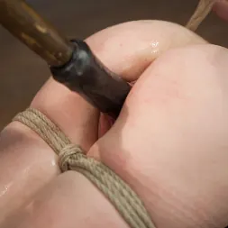 Jessi Palmer in Jessie Palmer (Photo 8) Jessi Palmer in 'Kink' Jessie Palmer (Thumbnail 8)