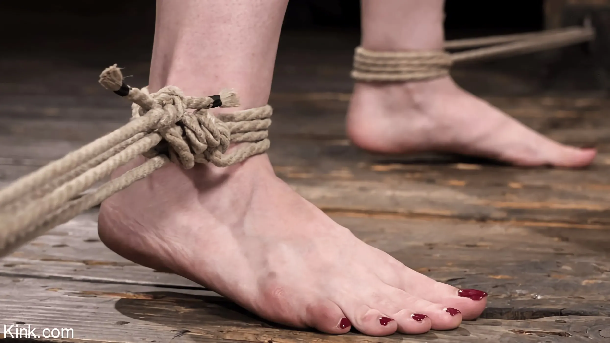 Kink 'ジェシカライアン:ロープで再会' 主演 Jessica Ryan (写真 3)