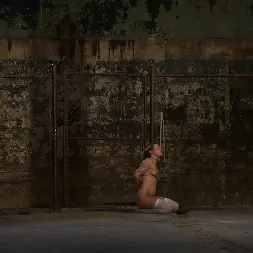 Jessie Cox in 'Kink' Pigtailed girl with thigh highs is bound, made to suck and swallow cock Brutal BJ. Suck it bitch. (Thumbnail 7)
