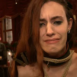 Jessie Cox in 'Kink' Service Day: Communication (Thumbnail 13)