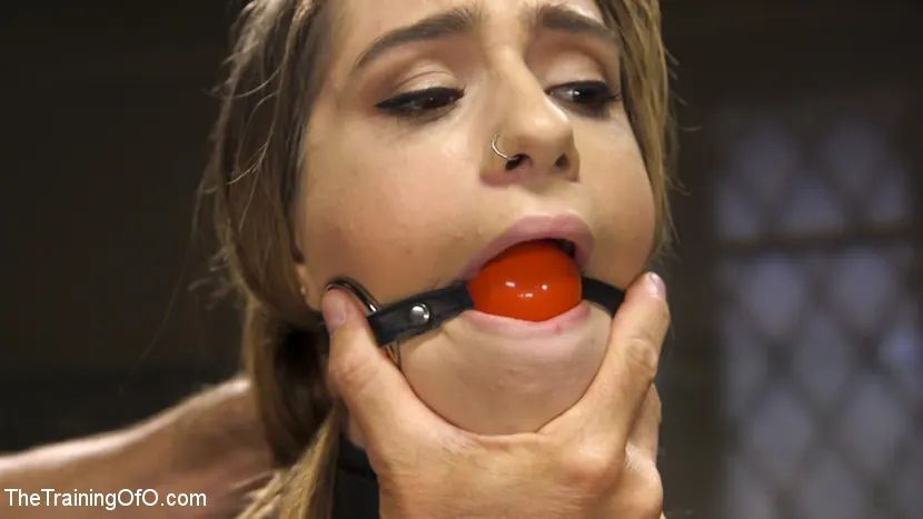 Kink 'La formación de Joseline Kelly' protagonizando Joseline Kelly (foto 3)