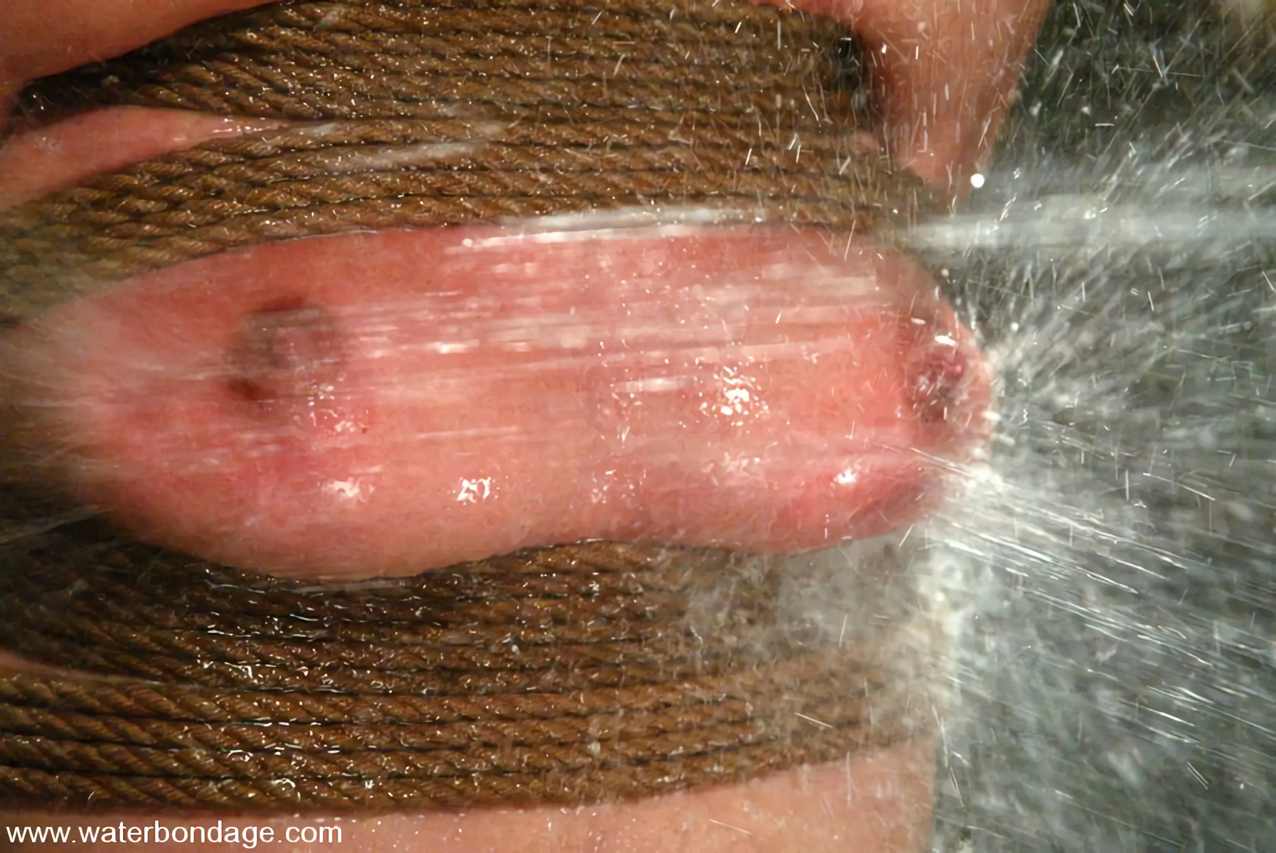 Noche de Julie en 'Noche de Julie' from 'Kink' (foto 10) Kink 'Noche de Julie' protagonizando Noche de Julie (foto 10)