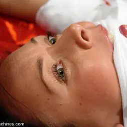 ジュリーの夜 に ジュリーの夜 (写真 1) ジュリーの夜 に 'Kink' ジュリーの夜 (サムネイル 1)