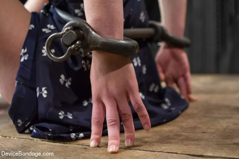 Juliette March に '- Insatiable Bondage Whore' from 'Kink' (写真 8) Kink '- Insatiable Bondage Whore' 主演 Juliette March (写真 8)