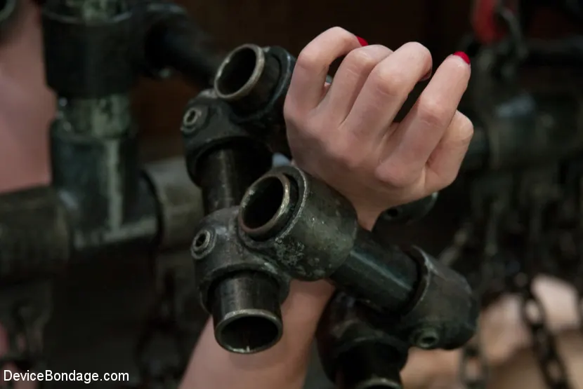 Juliette March に 'クソな野生の動物のように。' from 'Kink' (写真 9) Kink 'クソな野生の動物のように。' 主演 Juliette March (写真 9)